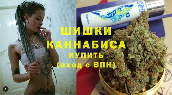 apvp Богородицк