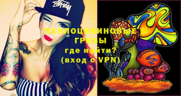 марки nbome Богданович