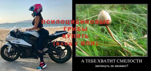 марки nbome Богданович