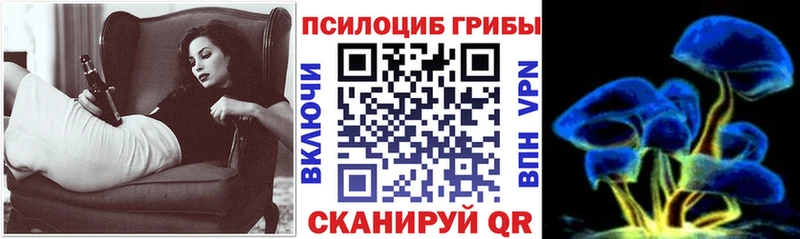 Галлюциногенные грибы Psilocybe наркота Мглин